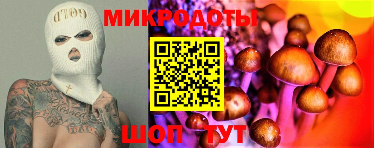 Казань  Галлюциногенные грибы Psilocybine cubensis  Галлюциногенные грибы GOLDEN TEACHER  Вход с VPN 